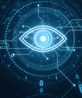 Face Recognition and Identity Models