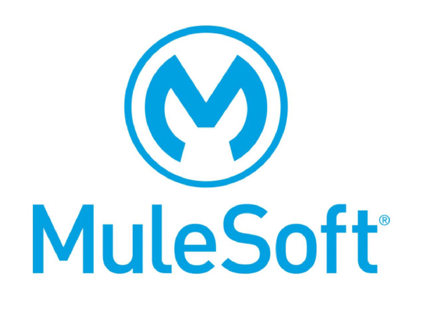 MULE SOFT.jpg