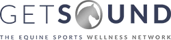Get Sound logo